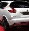 2013 Nissan Juke Rear Side View